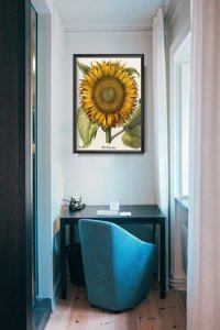 Poster im Retro-Stil Botanischer Druck Sonnenblume