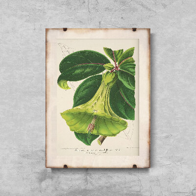 Poster Retro-Wohnzimmer 1957 Teufel Blumen Trompeten