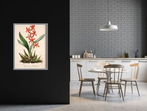 Weinleseposter für das Wohnzimmer Blumendruck Epidendrum Vitellinum