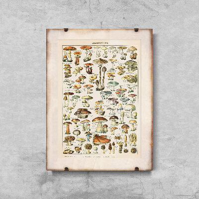 Poster für den Frieden Pilze 1909 Adolphe Millot