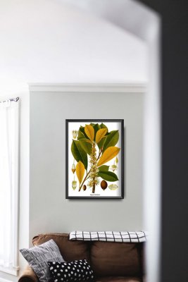 Poster Retro-Wohnzimmer Sapotaceae