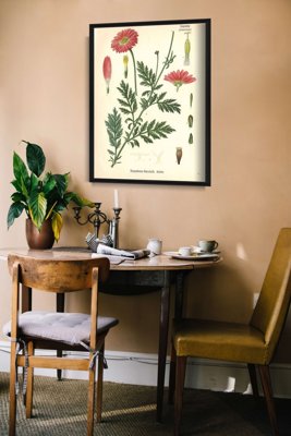 Poster im Retro-Stil Aster mit botanischen prägt