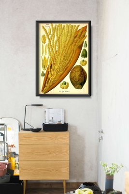 Poster für den Frieden Kokosnuss