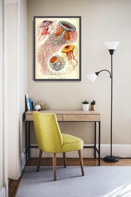 Retro-Poster Ernst Haeckel Quallen