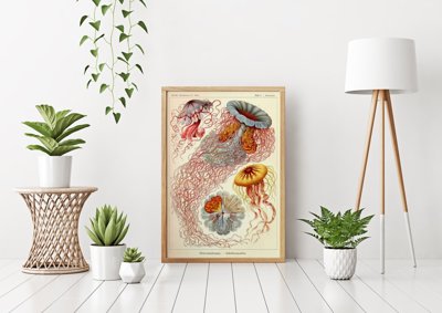 Retro-Poster Ernst Haeckel Quallen