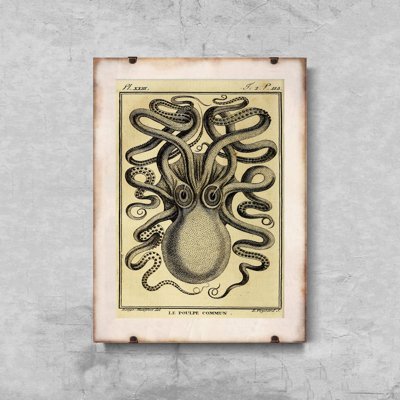 Weinleseplakat Krake Ernst Haeckel