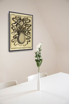 Weinleseplakat Krake Ernst Haeckel