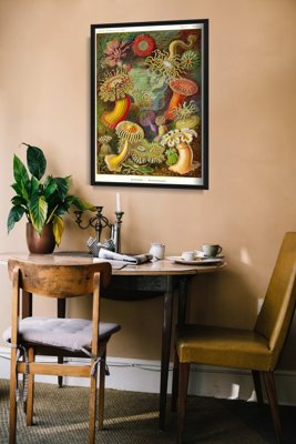 Poster Retro-Wohnzimmer Ernst Haeckel Actiniae