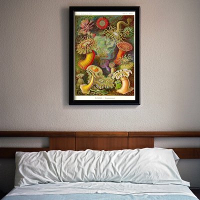 Poster Retro-Wohnzimmer Ernst Haeckel Actiniae