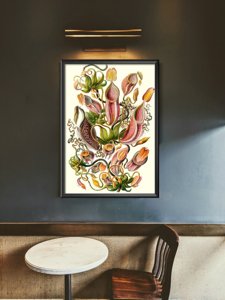 Weinleseplakat für das Wohnzimmer Fleisch fressenden Pflanze Ernst Haeckel