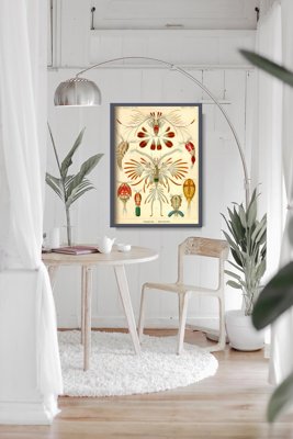 Poster im Retro-Stil Marine Copeoda Ernst Haeckel