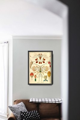 Poster im Retro-Stil Marine Copeoda Ernst Haeckel