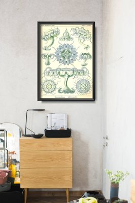 Plakat für den Frieden Ernst Haeckel Meer Quallen