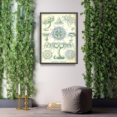 Plakat für den Frieden Ernst Haeckel Meer Quallen
