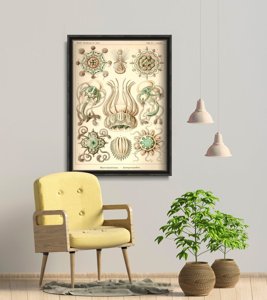 Retro-Poster Quallen Ernst Haeckel
