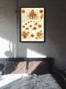 Retro-Poster Siphonophorae Ernst Haeckel