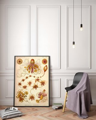 Retro-Poster Siphonophorae Ernst Haeckel