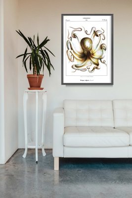 Plakat-Weinlese Tintenfisch Kopffüßer