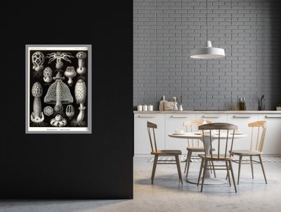 Poster Retro-Wohnzimmer Pilze Ernst Haeckel Meer
