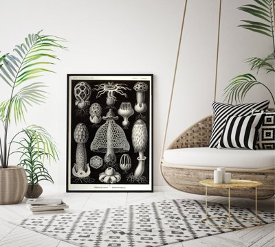 Poster Retro-Wohnzimmer Pilze Ernst Haeckel Meer