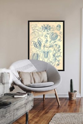 Weinleseplakat für das Wohnzimmer Ctenohorae Ernst Haeckel