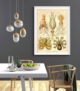 Poster im Retro-Stil Ernst Haeckel Octopus Gamochonia