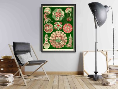 Poster an der Wand Quallen Ernst Haeckel