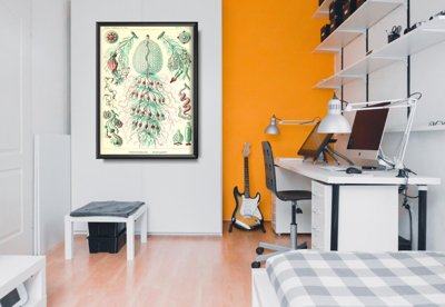 Retro-Poster Sihonophorae Ernst Haeckel