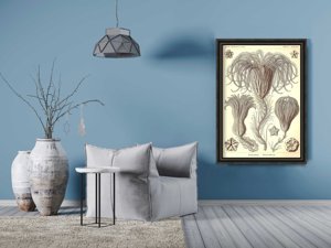 Plakat-Weinlese Crinoidea Ernst Haeckel