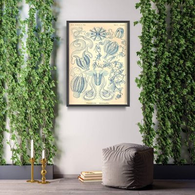 Poster Retro-Wohnzimmer Ctnenophorae Ernst Haeckel