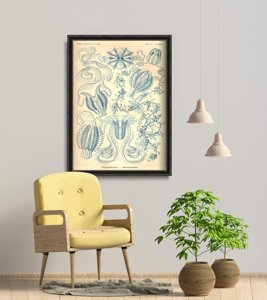 Poster Retro-Wohnzimmer Ctnenophorae Ernst Haeckel