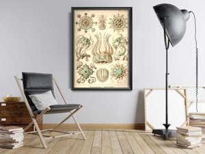 Weinleseplakat für das Wohnzimmer Narcmedusae Ernst Haeckel