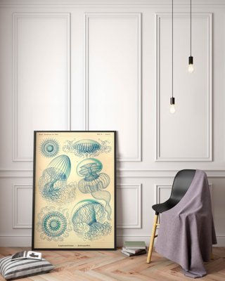 Poster an der Wand Quallen Ernst Haeckel