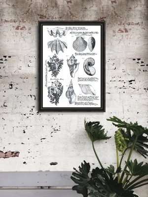 Plakat für den Frieden Poster Muscheln