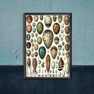 Poster im Retro-Stil Eier Adolphe Millot