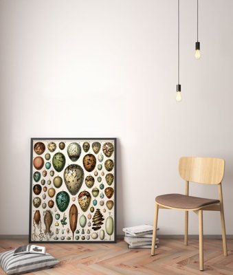 Poster im Retro-Stil Eier Adolphe Millot