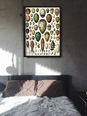 Poster im Retro-Stil Eier Adolphe Millot