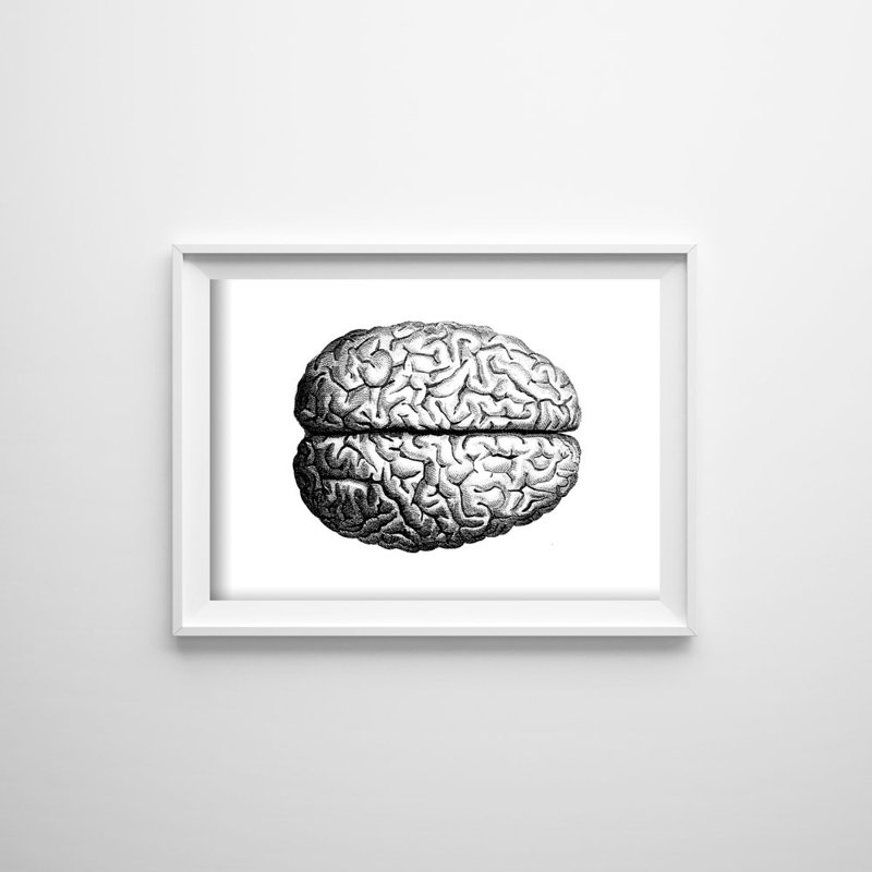 Plakat für den Frieden anatomisches Gehirn