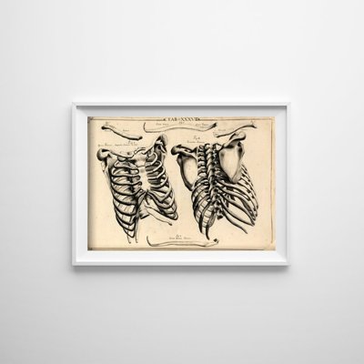 Posterm im Retro-Stil Chest John Fotherby