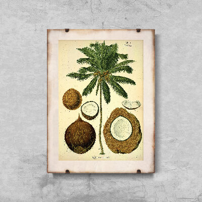 Poster-Weinlese Botanischer Kokospalme Druck