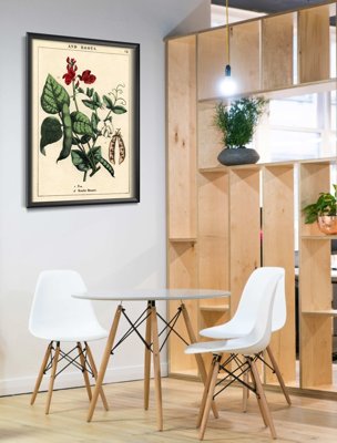 Poster an der Wand Pflanze Erbsen