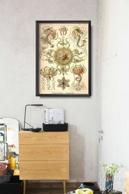 Retro-Poster Quallen Ernst Haeckel