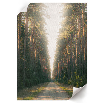 Kunstdruck leinwand Waldweg