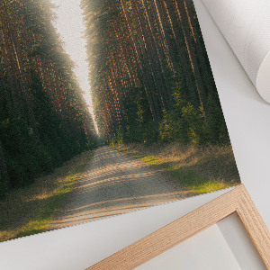 Kunstdruck leinwand Waldweg