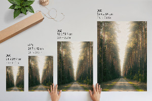 Kunstdruck leinwand Waldweg