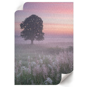 Poster auf Leinwand mit Motiv eines Baums auf einer Wiese