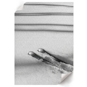 Poster leinwand Skier auf dem Schnee