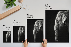Kunstdruck leinwand Profil eines Elefanten