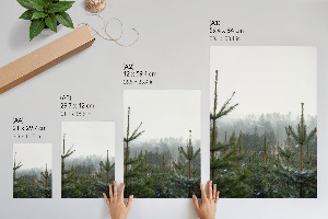 Poster auf leinwand Grüne Nadelbäume