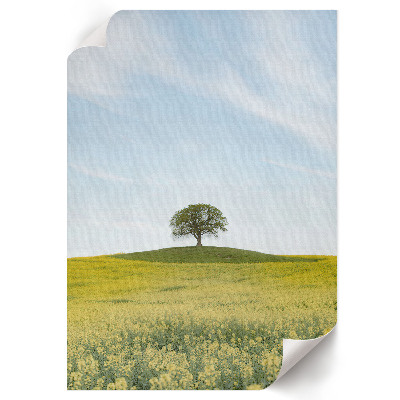 Bilder poster Einsamer Baum
